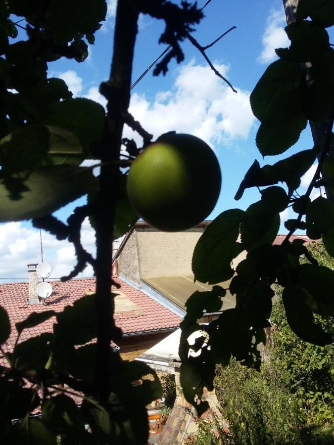 Ecurey-en-VerdunoisTerroir De Familles住宿加早餐旅馆 外观 照片